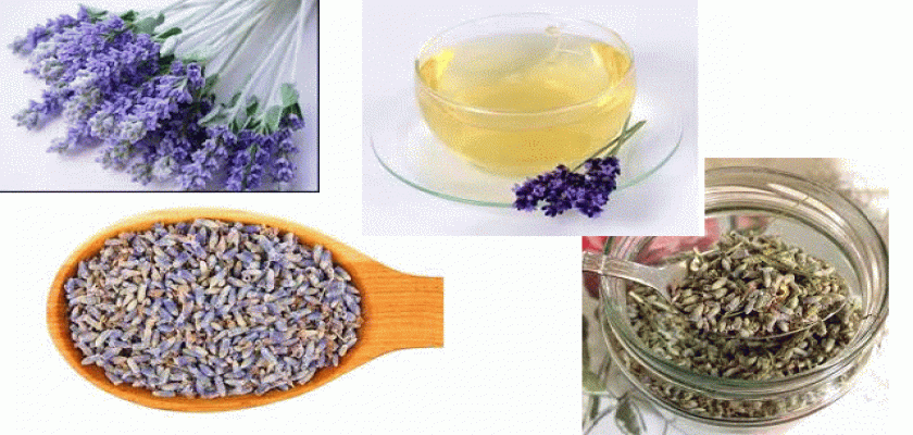 Lavanta Çayı İle Sağlıklı Kalın