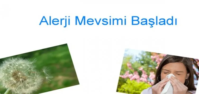 Bahar Alerjisini Yakından Tanıyalım