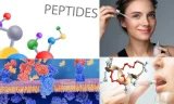Peptides Cilt Sağlığına Etkileri Nelerdir?