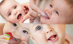 Bebeklerde Diş Çıkarma Dönemi: Belirtiler, Sorunlar ve Çözümler