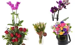 Özel Gün Çiçek Seçimi: Duyguları En Zarif Şekilde İfade Etme Sanatı