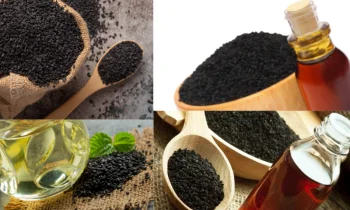 Black Seed Oil (Çörekotu Yağı) Nedir?