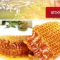 Ağrı Kesici Özelliği Taşıyan Bitkiler