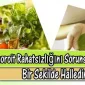 Hemoroid Bitkisel Ürün Faydalarına Dair