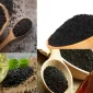 Black Seed Oil (Çörekotu Yağı) Nedir?
