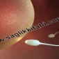 Kısırlık Sebepleri