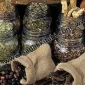 Türkiye’nin Tıbbi Bitkileri